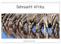 Produktbild: Sehnsucht Afrika - Faszinierende Tierwelt im s&uuml;dlichen Afrika (Wandkalender 2026 DIN A4 quer), CALVENDO Monatskalender