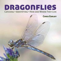 Produktbild: Dragonflies