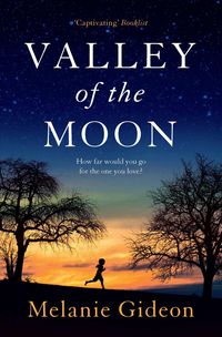 Produktbild: Valley of the Moon