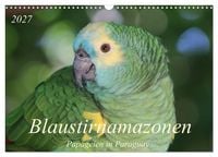 Produktbild: Blaustirnamazonen - Papageien in Paraguay (Wandkalender 2027 DIN A3 quer), CALVENDO Monatskalender