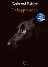 Produktbild: De kapperszoon