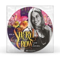 Produktbild: Story Of Everthing (Picture Vinyl)