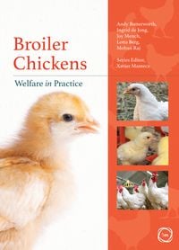 Produktbild: Broiler Chickens