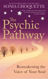 Produktbild: The Psychic Pathway