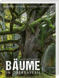 Bild vom Artikel Faszinierende Bäume in Oberbayern vom Autor Jürgen Schuller