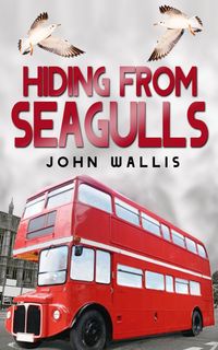 Produktbild: Hiding From Seagulls
