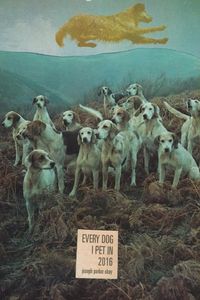 Produktbild: Every dog i pet in 2016