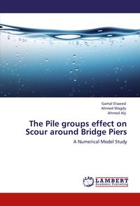 Produktbild: The Pile groups effect on Scour around Bridge Piers