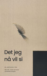 Produktbild: Det jeg n&aring; vil si