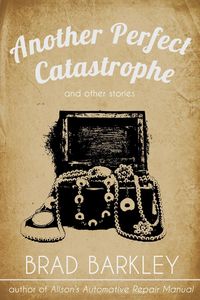 Produktbild: Another Perfect Catastrophe