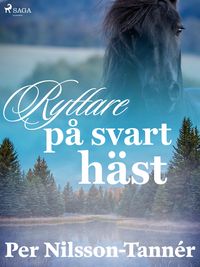 Produktbild: Ryttare p&aring; svart h&auml;st