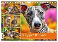 Produktbild: Whippet Wunder. Grazile Hunde mit sanfter Kraft und feiner Seele (Wandkalender 2027 DIN A4 quer), CALVENDO Monatskalender