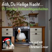 Produktbild: Ach, Du Heilige Nacht - 13 Unheilige Weihnachtsgeschichten