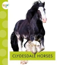 Produktbild: Clydesdale Horses