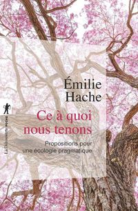 Produktbild: Ce &agrave; quoi nous tenons : propositions pour une &eacute;cologie pragmatique