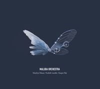 Produktbild: Maluba Orchestra (150g LP)