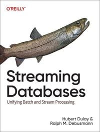 Produktbild: Streaming Databases