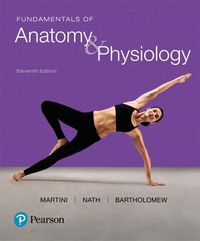 Produktbild: Martini, F: Fundamentals of Anatomy & Physiology
