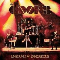 Produktbild: Unbound and Dangerous