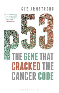 Produktbild: P53