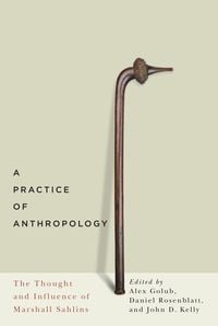 Produktbild: Practice of Anthropology