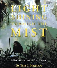 Produktbild: Light Shining Through the Mist