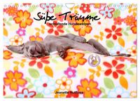 Produktbild: S&uuml;&szlig;e Tr&auml;ume 2027 - schlafende Hundewelpen (Wandkalender 2027 DIN A4 quer), CALVENDO Monatskalender