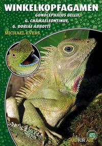 Produktbild: Winkelkopfagamen