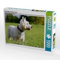 Produktbild: CALVENDO Puzzle West Highland White Terrier | 1000 Teile Lege-Gr&ouml;&szlig;e 64x48cm Foto-Puzzle f&uuml;r gl&uuml;ckliche Stunden