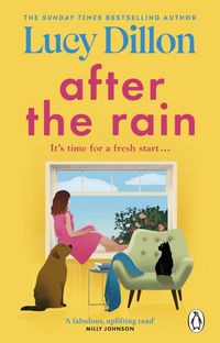 Produktbild: After the Rain