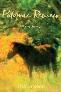 Produktbild: Potomac Review Issue 77