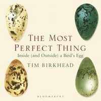 Produktbild: The Most Perfect Thing