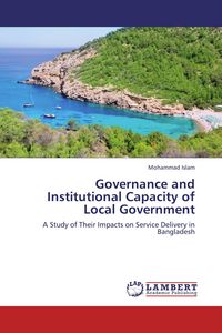 Produktbild: Governance and Institutional Capacity of Local Government