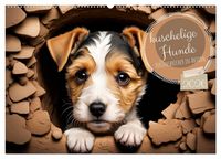 Produktbild: Kuschelige Hunde - kleine Herzensbrecher in Aktion (Wandkalender 2026 DIN A2 quer), CALVENDO Monatskalender