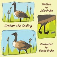 Produktbild: Graham the Gosling