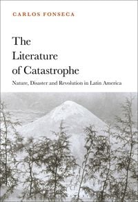 Produktbild: The Literature of Catastrophe