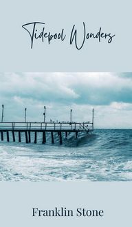 Produktbild: Tidepool Wonders