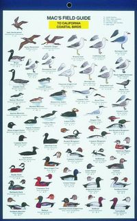 Produktbild: Mac's Field Guides: California Coastal Birds