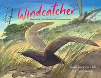Produktbild: Windcatcher