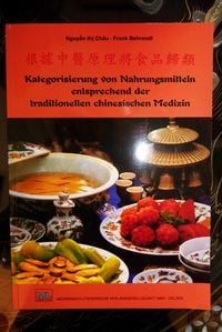 Produktbild: Kategorisierung von Nahrungsmitteln entsprechend der traditionellen chinesischen Medizin
