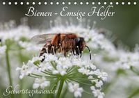Produktbild: Bienen - Emsige Helfer (Tischkalender immerw&auml;hrend DIN A5 quer)