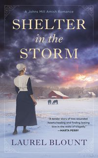 Produktbild: Shelter in the Storm