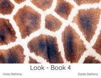 Produktbild: Look - Book 4