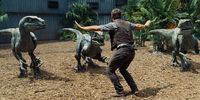 Jurassic World Trilogie  [3 DVDs]