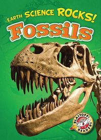 Produktbild: Fossils