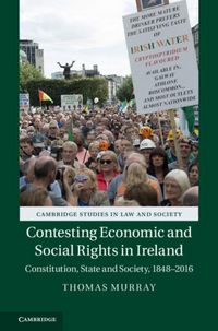 Produktbild: Contesting Economic and Social Rights in Ireland