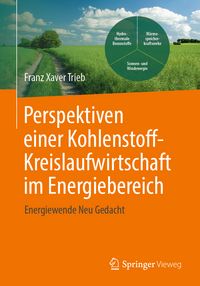 Produktbild: Perspektiven einer Kohlenstoffkreislaufwirtschaft im Energiebereich