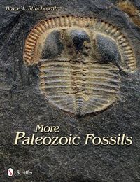 Produktbild: More Paleozoic Fossils