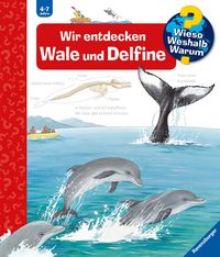 Produktbild: Wieso? Weshalb? Warum? Band 41 - Wir entdecken Wale und Delfine