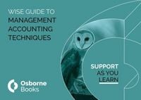 Produktbild: Management Accounting Techniques Wiseguide